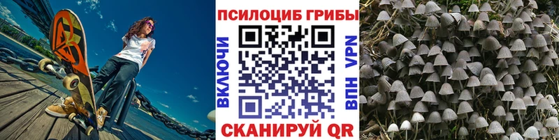 Псилоцибиновые грибы мухоморы  shop какой сайт  Магас  что такое  