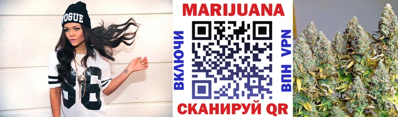 кракен tor  Магас  Канабис семена 